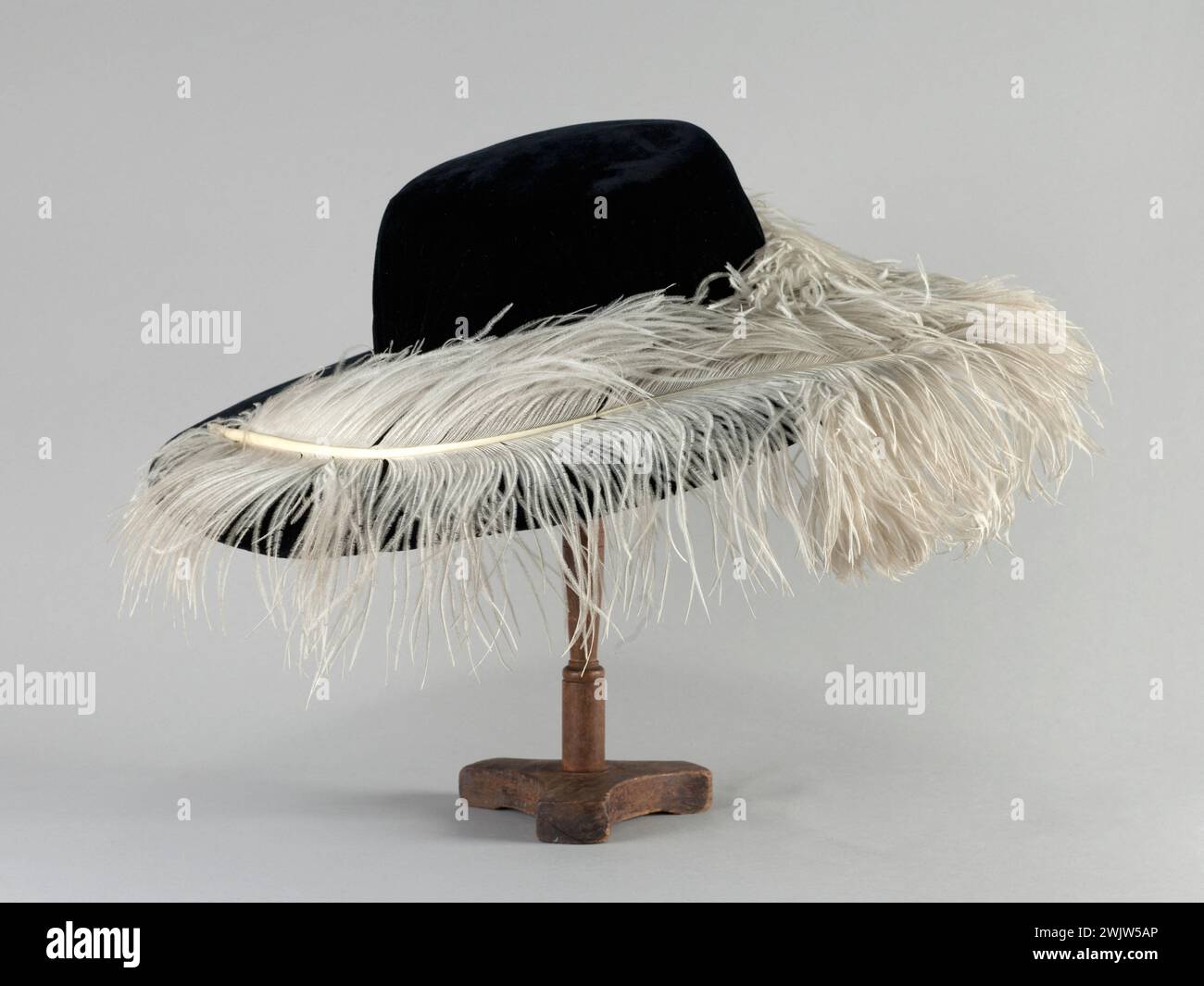 Black and white ostrich feathers hi-res stock photography  display picture 1