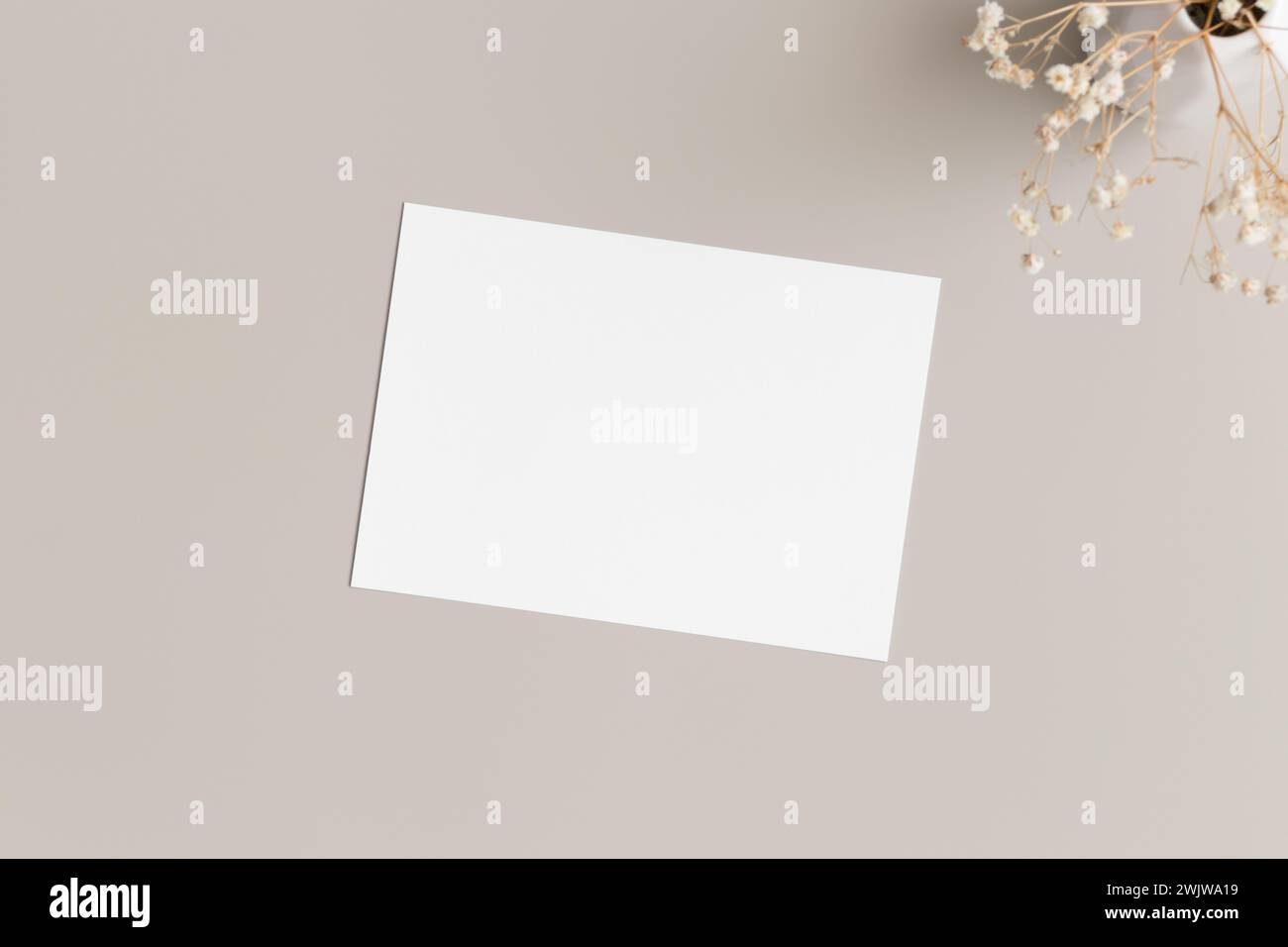 Invitation white card mockup with gypsophila. 5x7 ratio, similar to A6, A5. Stock Photo