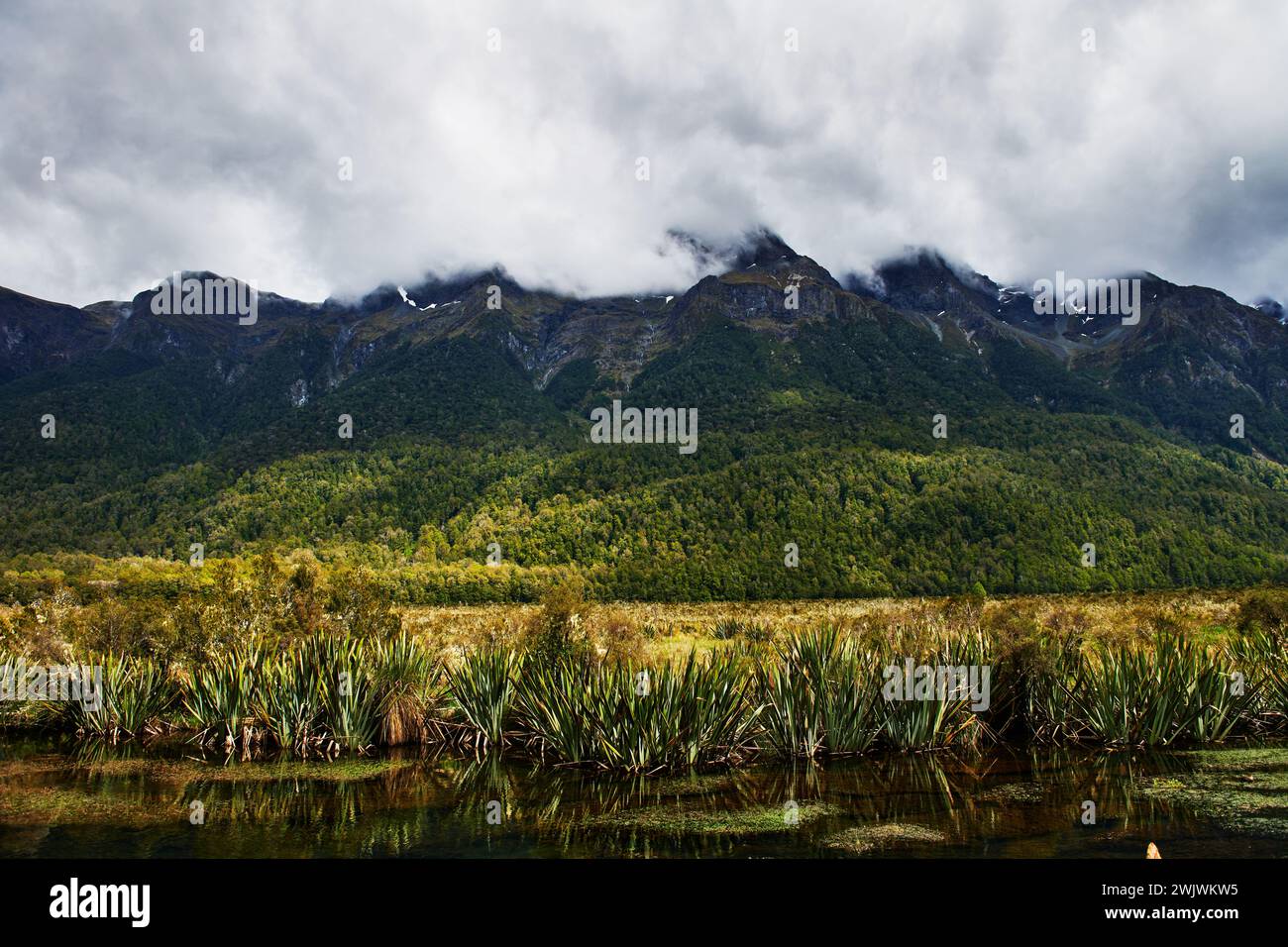 Landscape of Fiordland National Park, South Island, New Zealand Stock Photo