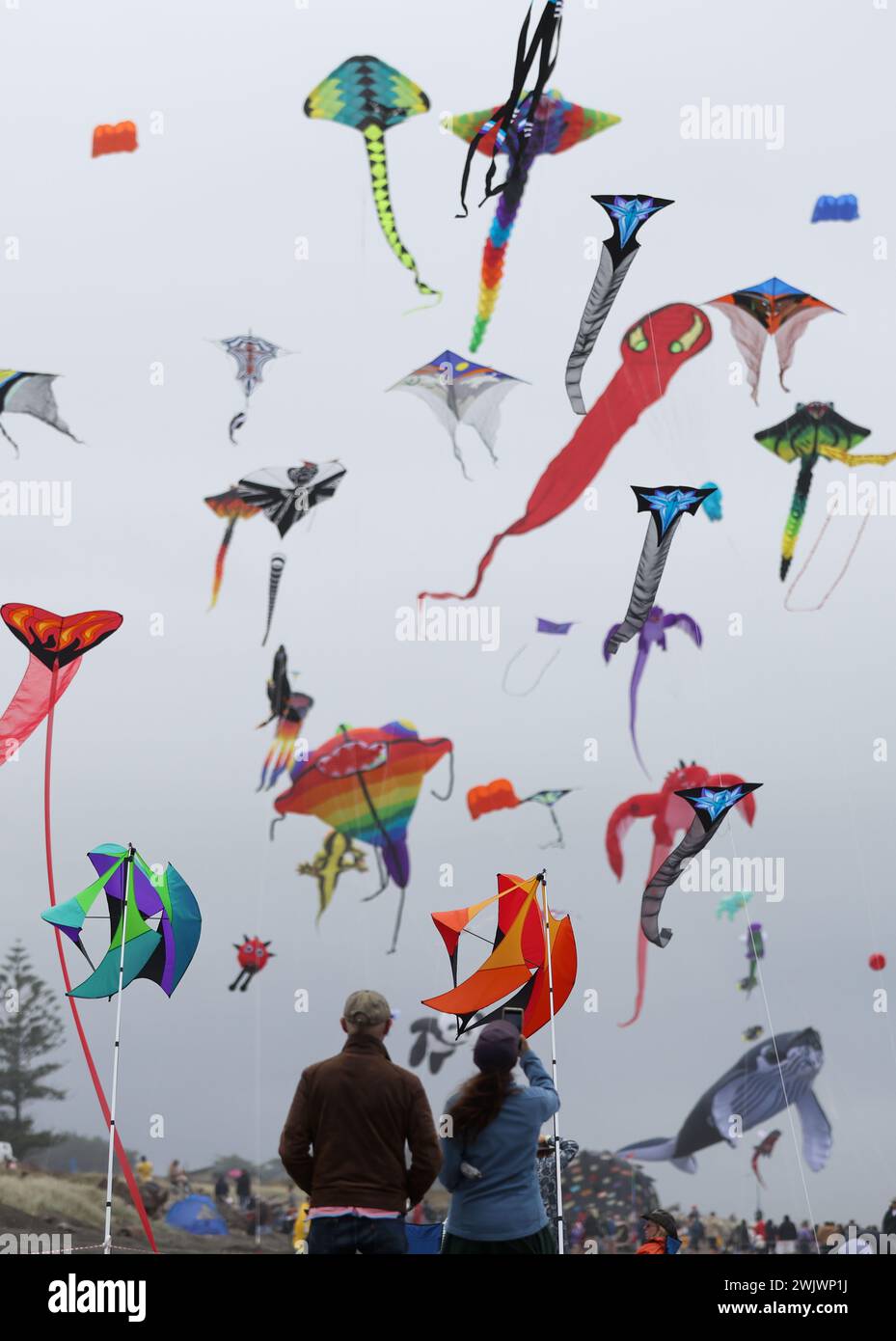 Wellington, New Zealand. 17th Feb, 2024. People fly kites during the