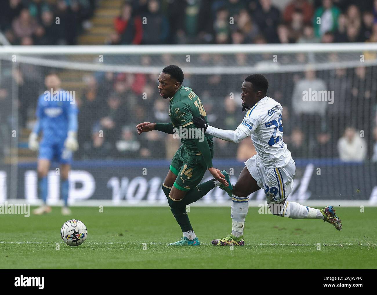 Mickel Miller of Plymouth Argyle attacking  during the Sky Bet Championship match Plymouth Argyle vs Leeds United at Home Park, Plymouth, United Kingdom, 17th February 2024  (Photo by Stan Kasala/News Images) Stock Photo