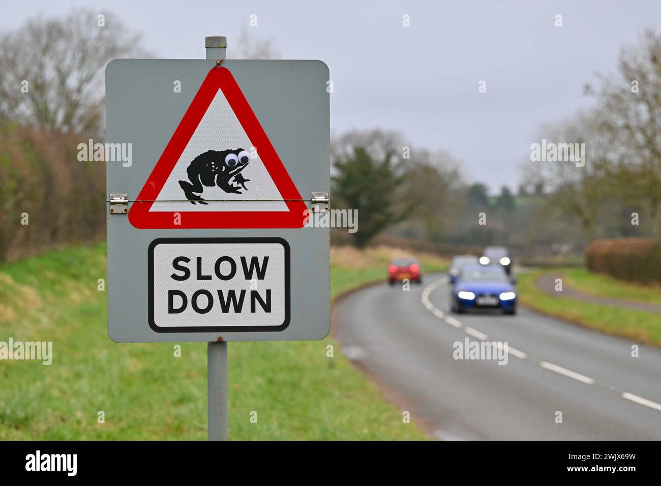 Toadwarning Sign Slow toads hi-res stock photography and images - Alamy