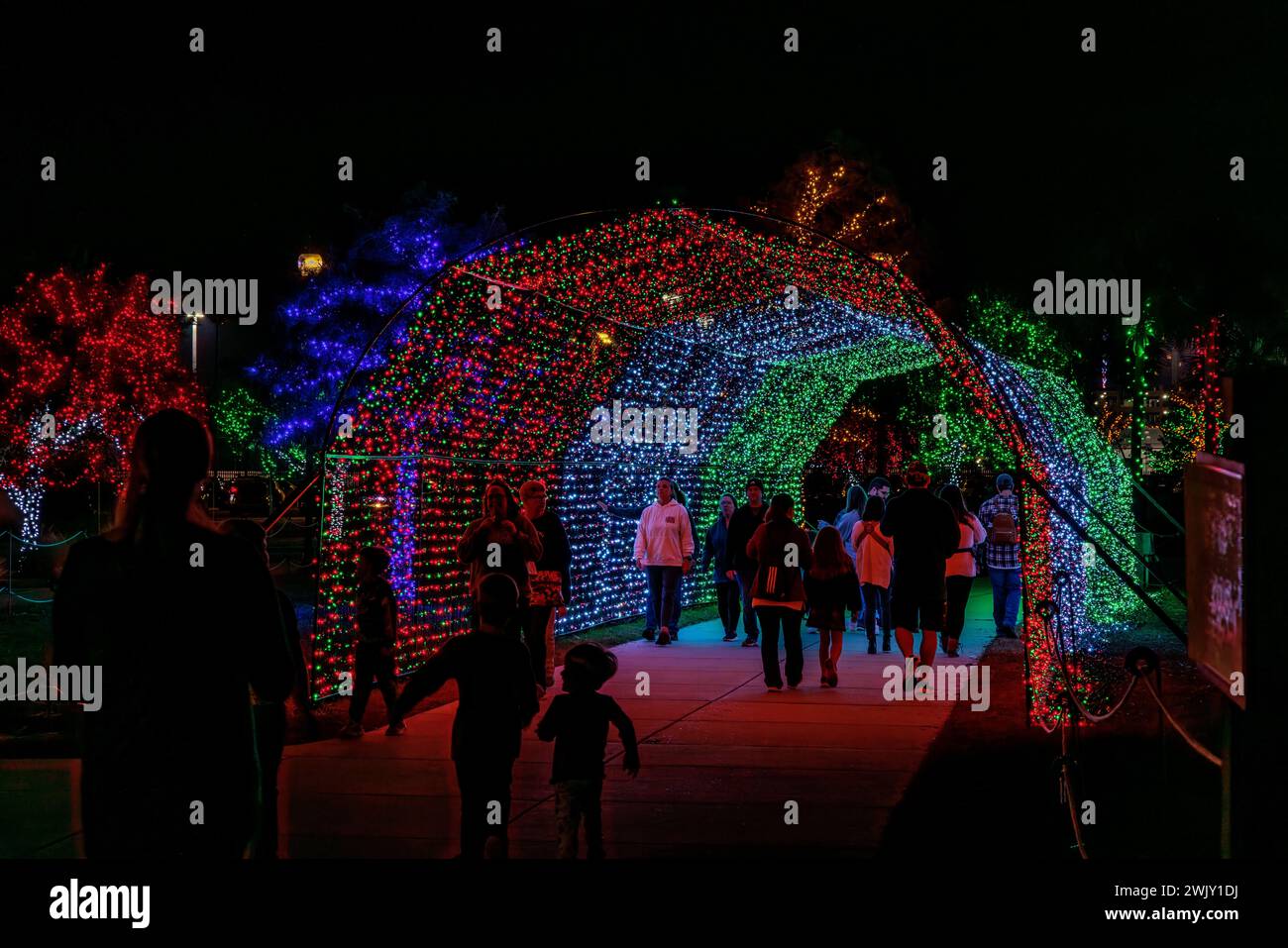 Visitors walk through a tunnel of Christmas lights at the annual Harbor