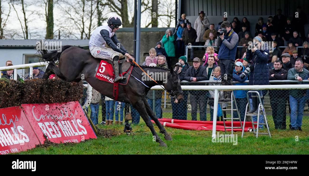 Saint Felicien ridden by Jack Kennedy jumps the last to win The Gowran Park Golf Club Beginners Steeplechase at Gowran Park Racecourse in County Kilkenny, Ireland. Picture date: Saturday February 17, 2024. Stock Photo