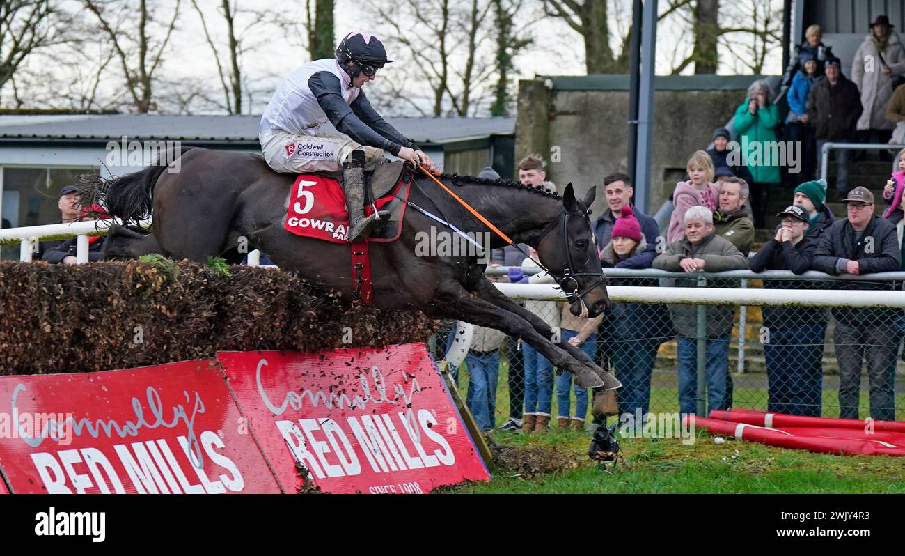 Saint Felicien ridden by Jack Kennedy jumps the last to win The Gowran Park Golf Club Beginners Steeplechase at Gowran Park Racecourse in County Kilkenny, Ireland. Picture date: Saturday February 17, 2024. Stock Photo
