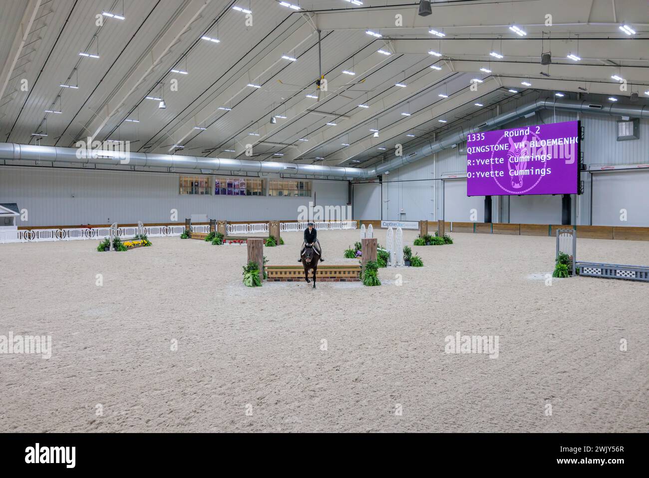 Woman competing in the Hunter Jumper competition in an indoor arena of the World Equestrian Center in Ocala, Florida Stock Photo