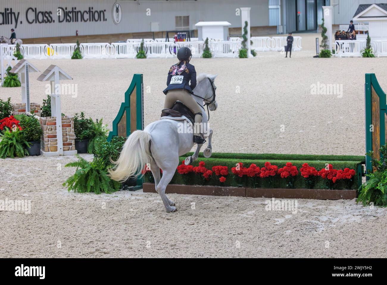 Woman competing in the Hunter Jumper competition in an indoor arena at the World Equestrian Center in Ocala, Florida Stock Photo