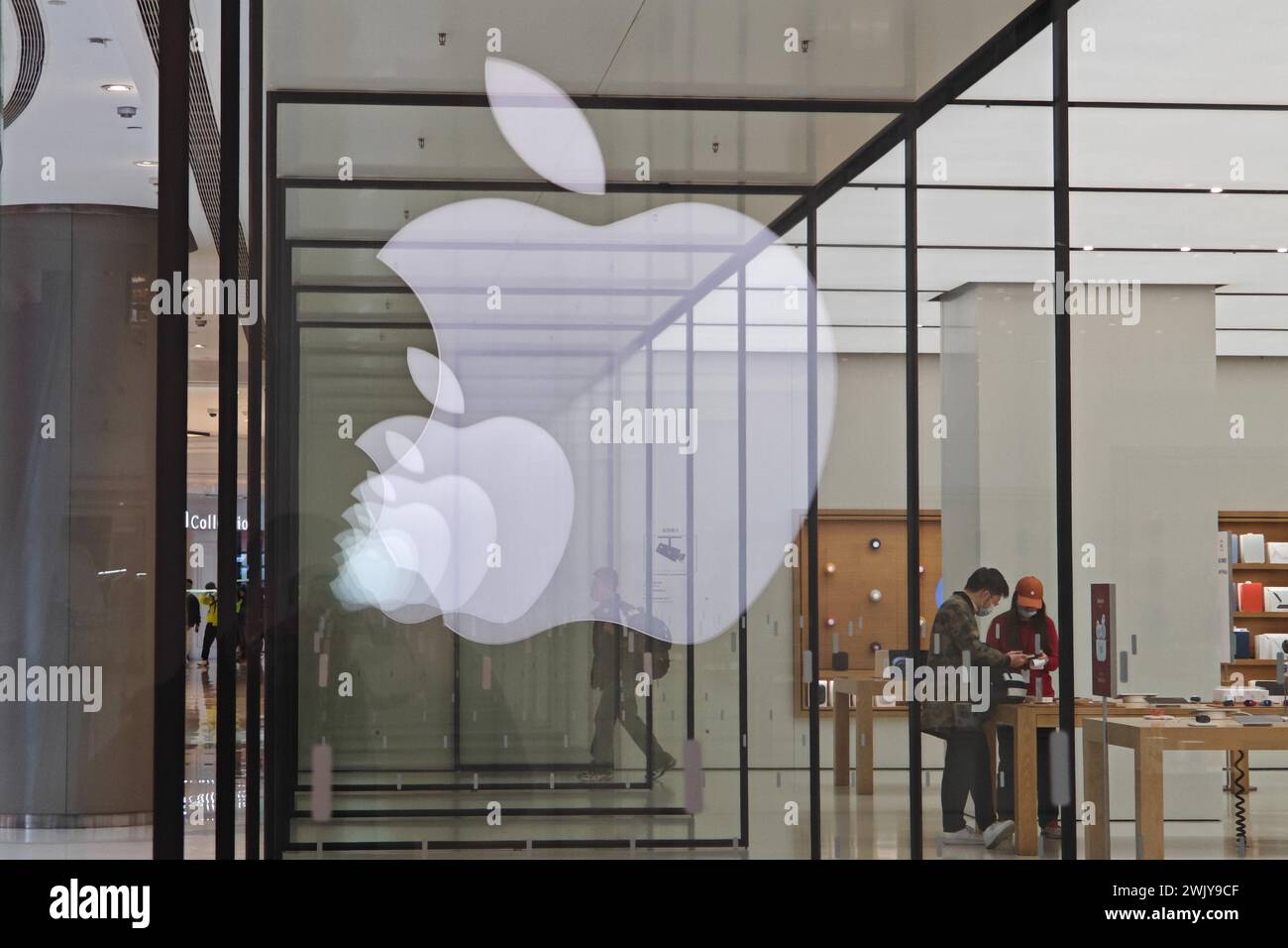 Shanghai, China. 17th Feb, 2024. A reflection of the Apple Inc logo is seen at an Apple store in Shanghai, China, on February 17, 2024. (Photo by Costfoto/NurPhoto) Credit: NurPhoto SRL/Alamy Live News Stock Photo