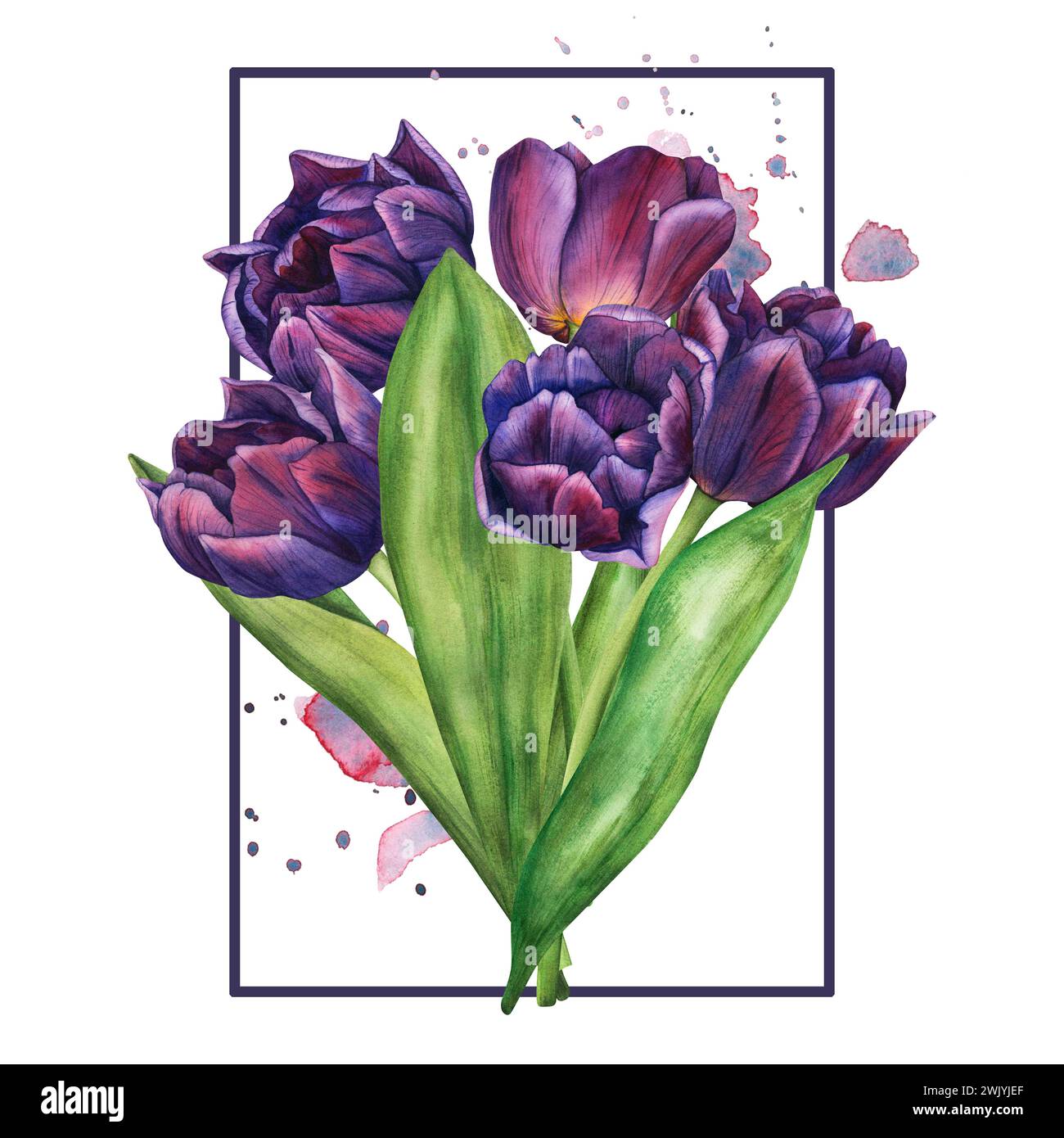 Watercolor tulip flowers bouquet. Template of spring flowers for floral ...