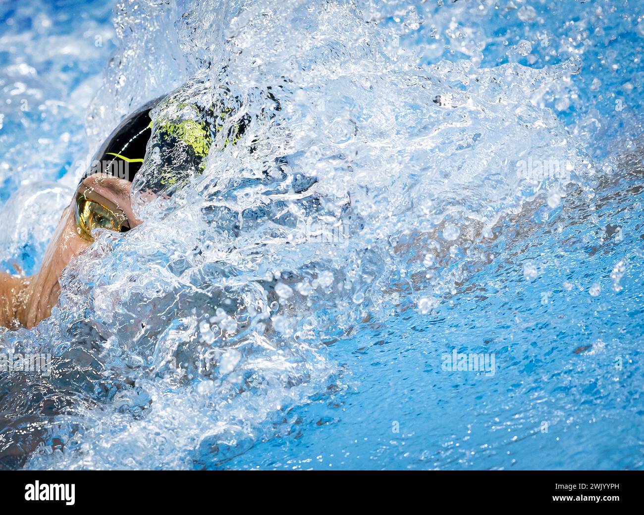 DOHA Stan Pijnenburg in action in the final 4 x 100 free mixed during the seventh day of the
