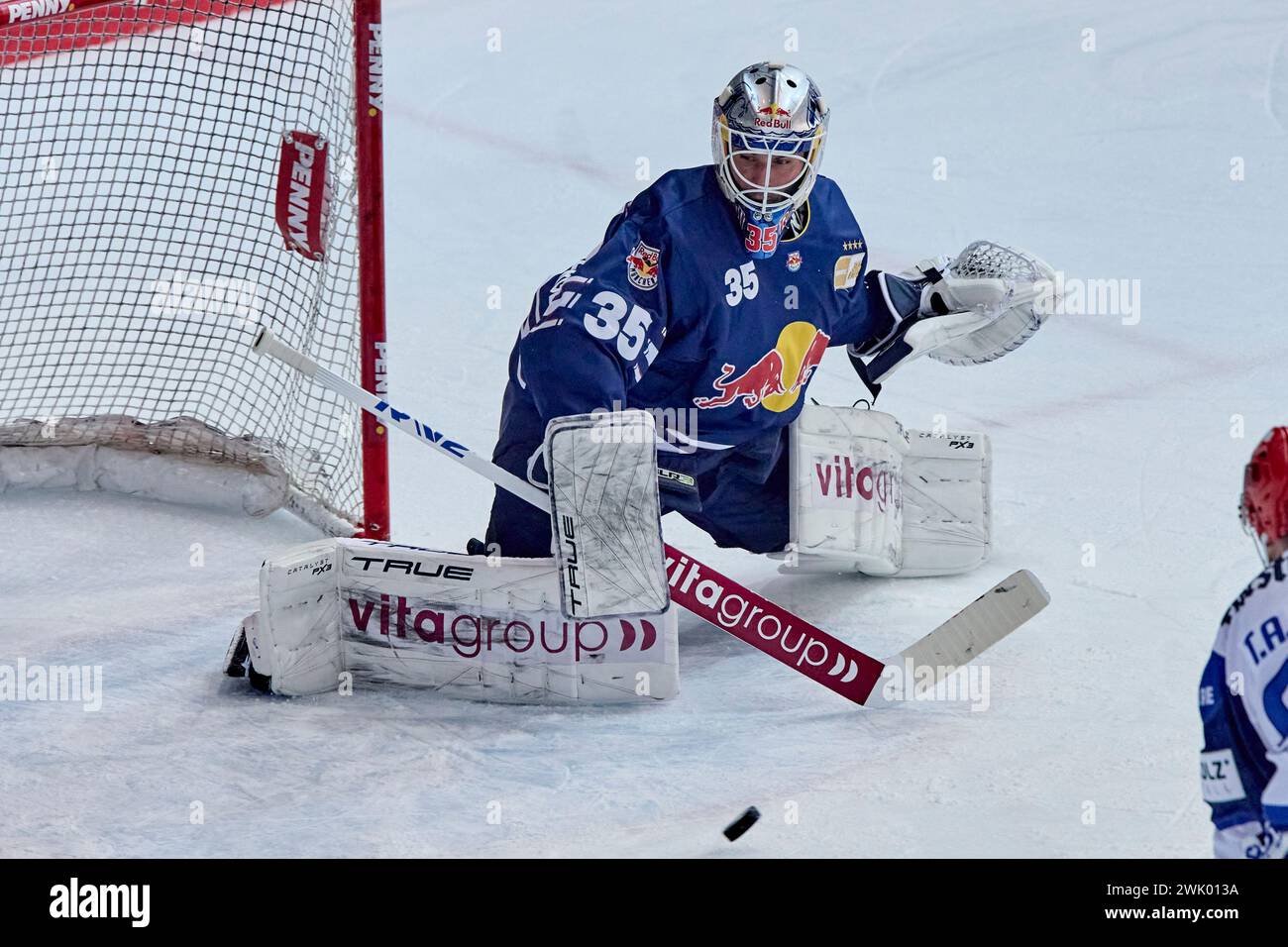 Deutsche Eishockey Liga DEL Stock Photo