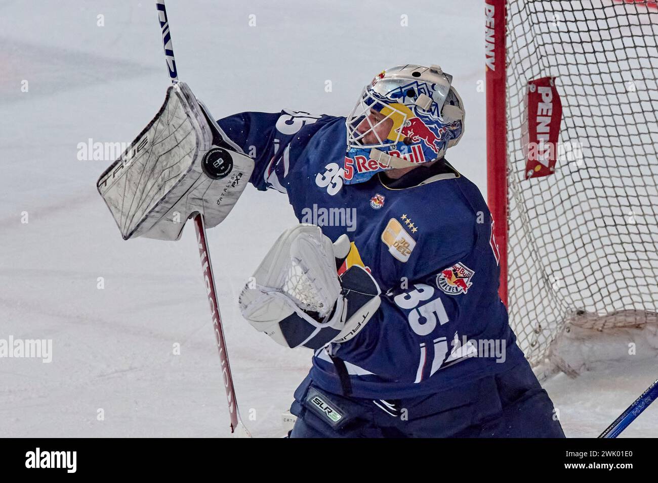 Deutsche Eishockey Liga DEL Stock Photo