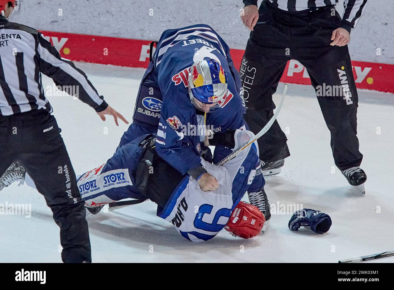 Deutsche Eishockey Liga DEL Stock Photo