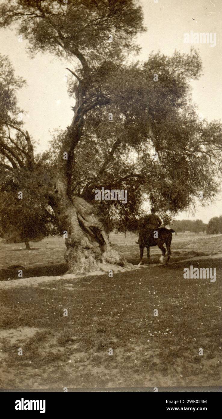 1912 Italy - Turkey war, Libya, Italian soldier Stock Photo