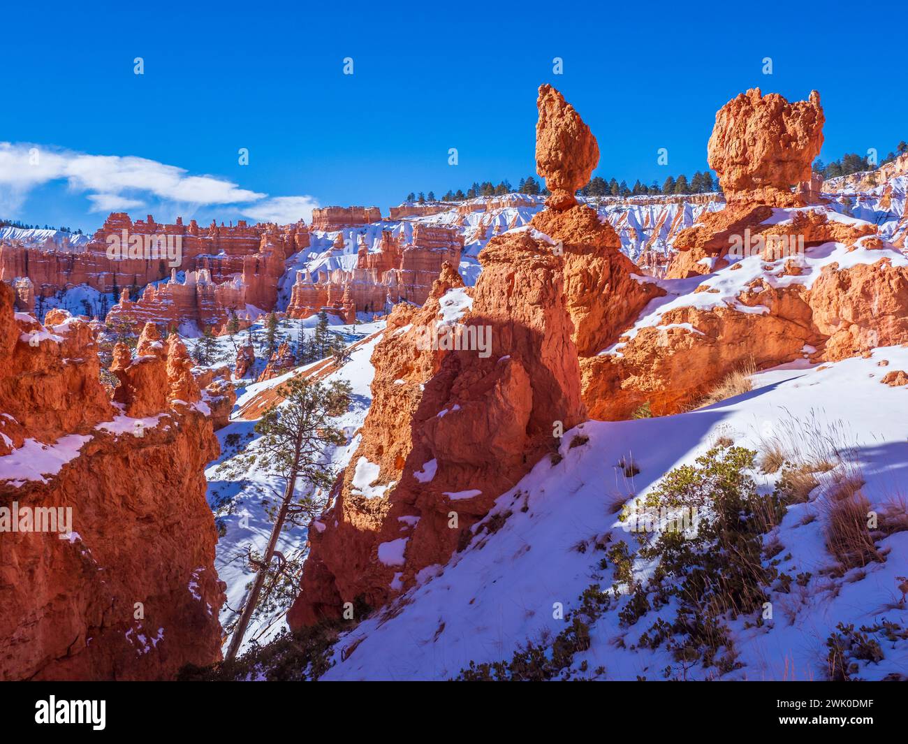 Bryce Amphitheater from the Queen's Garden Trail, winter, Bryce Canyon National Park, Utah. Stock Photo