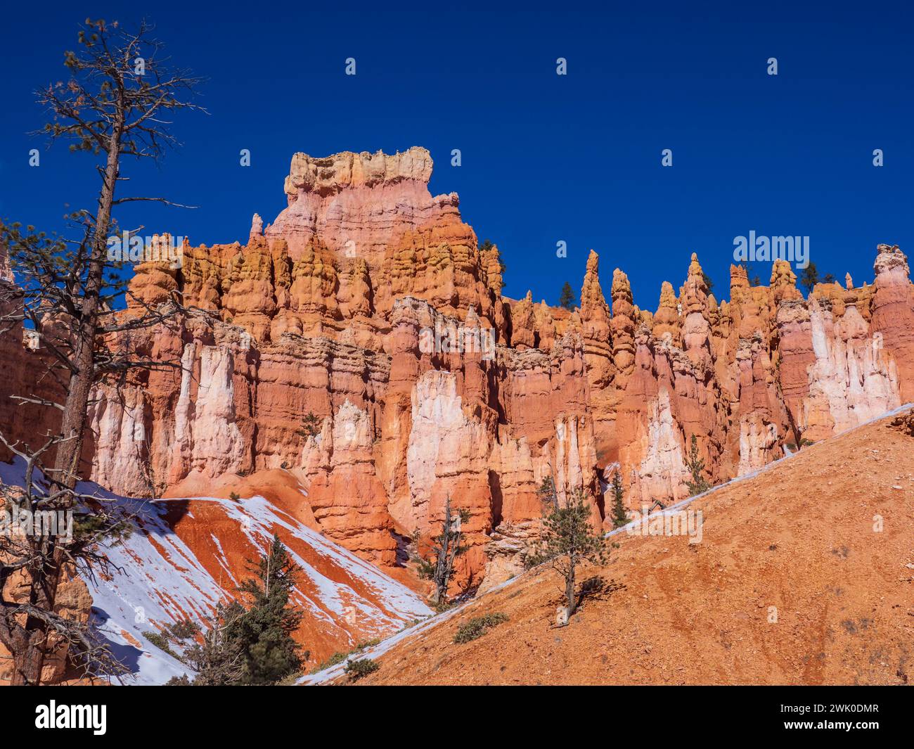 Bryce Amphitheater from the Queen's Garden Trail, winter, Bryce Canyon National Park, Utah. Stock Photo