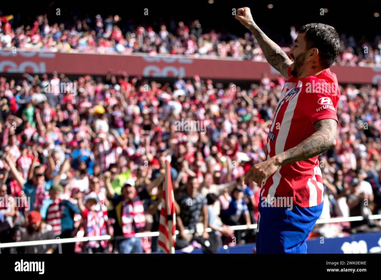 Madrid Spain; 02/17/2024.- Atletico de Madrid player Correa Celebrate your goal with the public. Atletico de Madrid beat UD Las Palmas 5-0 in Spanish Soccer League. With goals from Marcos Llorentes 15', 20', Angel Correa 47', 62' and Memphis Depay 87' Atletico de Madrid beats Las Palmas on Matchday 25 of the Spanish Football League at Civitas Metropolitano Stadium. Photo; Juan Carlos Rojas. Stock Photo