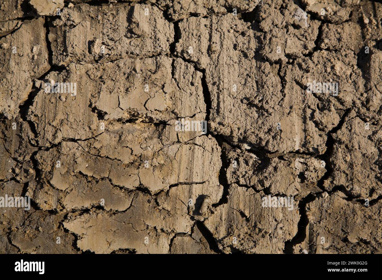 Close-up of cracked and dried up mud in spring. Stock Photo