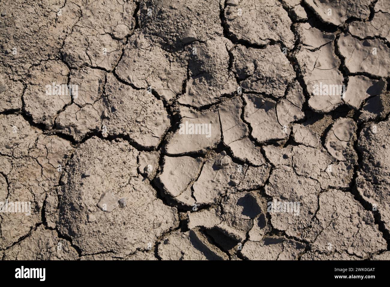 Close-up of cracked and dried up mud in spring. Stock Photo