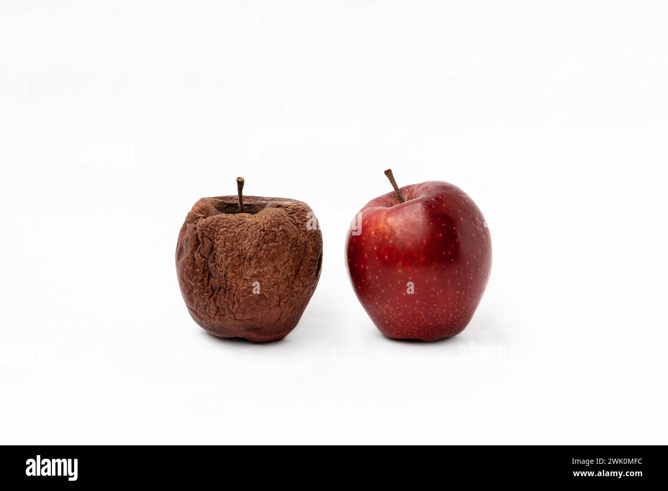 Fresh red apple and wrinkled apple on white background. Old and young. Rusty and in good shape. Aging concept, training concept. Stock Photo