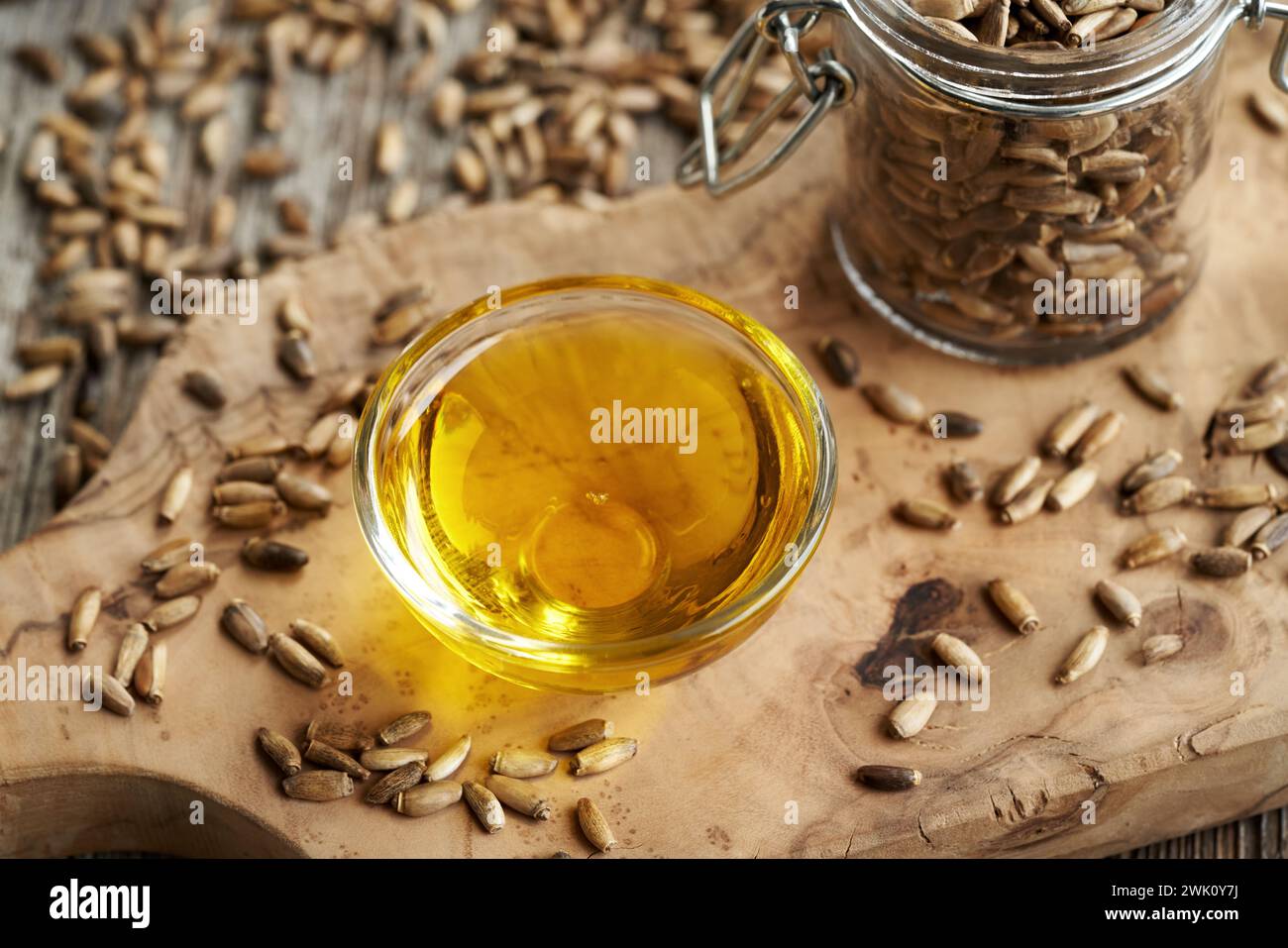 Milk thistle oil in a glass bowl, with Carduus marianus seeds in the background Stock Photo