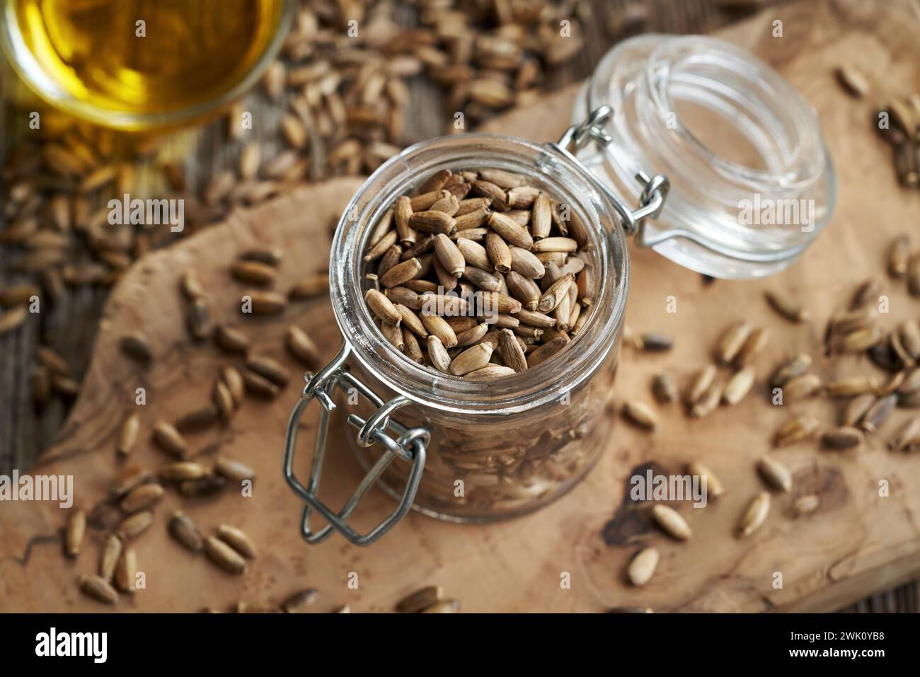 Milk thistle seeds in a glass jar, with Carduus marianus oil in the background Stock Photo