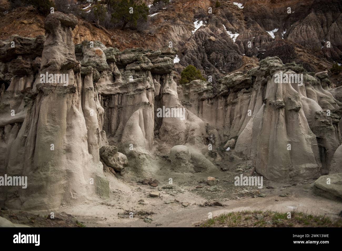 Grotesque shapes in eroded clay of the Wasatch Formation near Corcoran Peak, in Mesa County Colorado Stock Photo