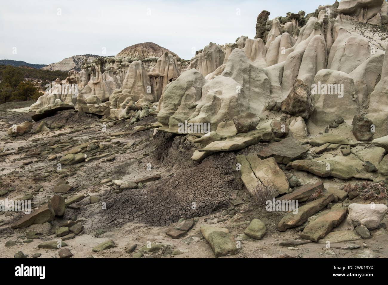 Grotesque shapes in eroded clay of the Wasatch Formation near Corcoran Peak, in Mesa County Colorado Stock Photo