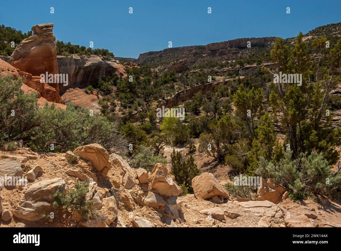 The trail to the historic mica mine, Grand Junction Colorado Stock Photo