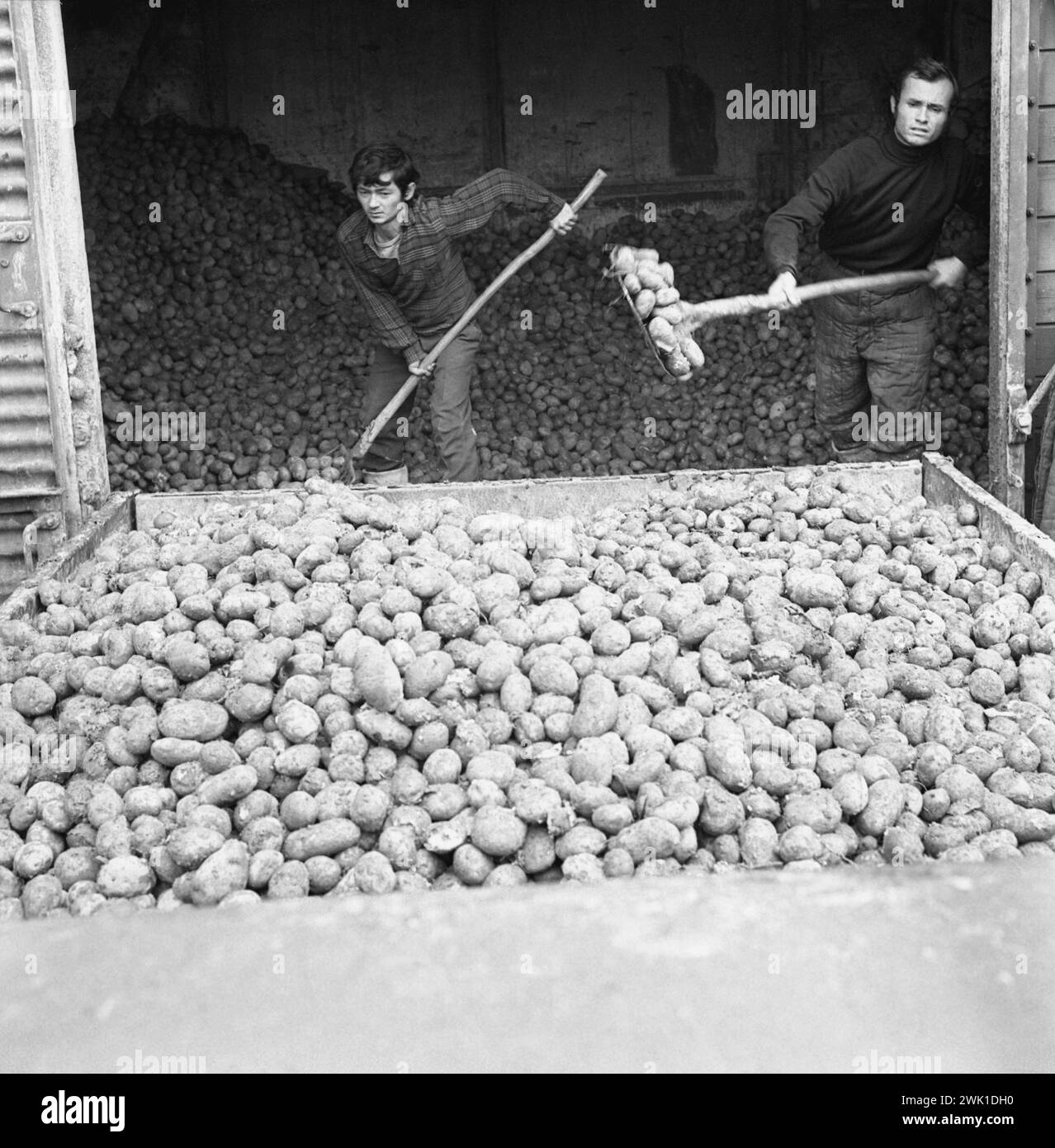 Food shipped train hires stock photography and images Alamy