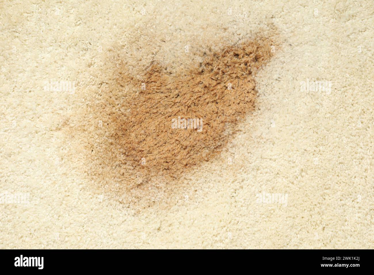 Wet spot on beige carpet as background, top view Stock Photo - Alamy