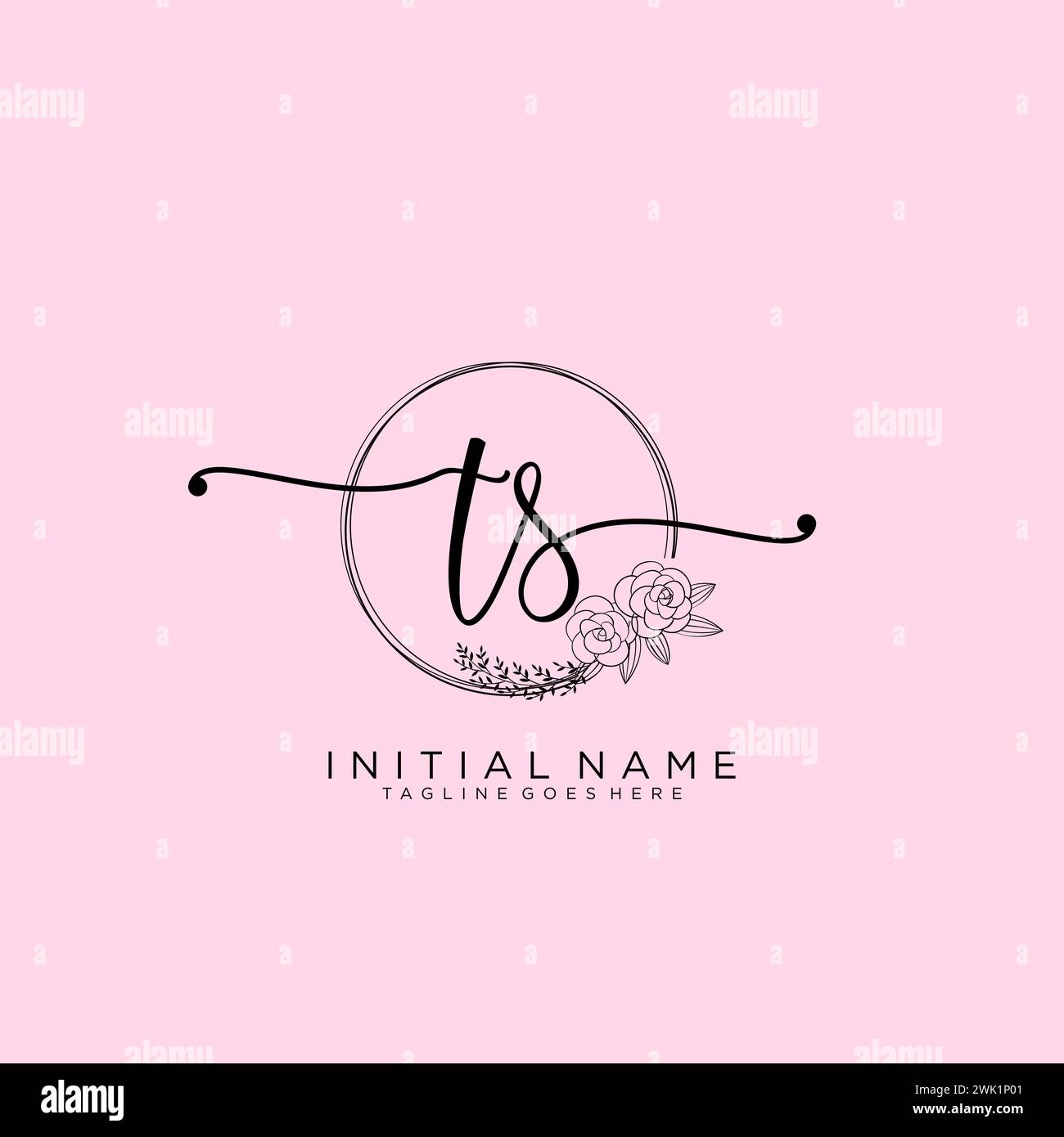 TS Initial handwriting logo with circle Stock Vector