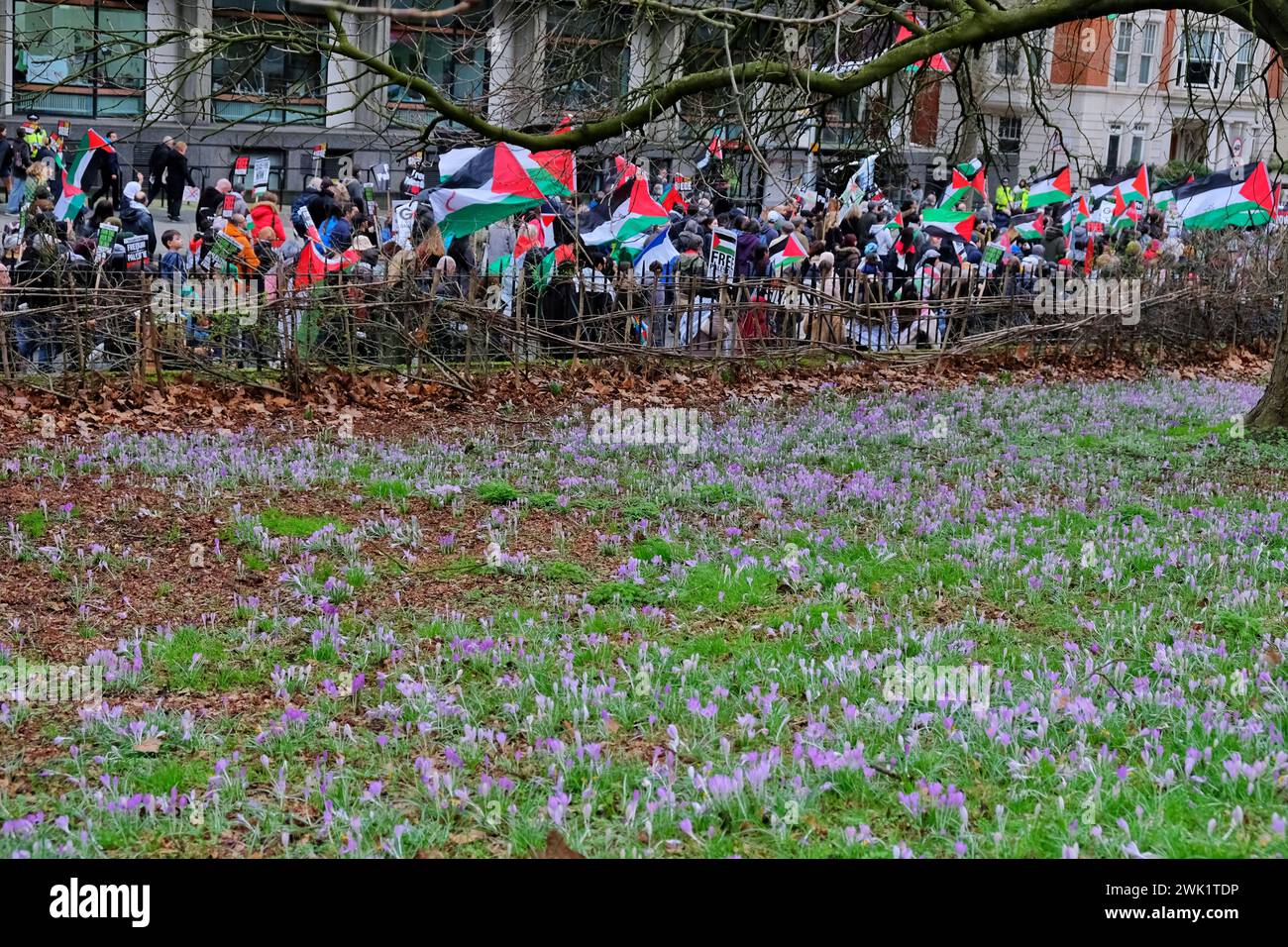 London, UK, 17th February, 2024. Tens of thousands took part in a march organised by the Palestine Solidarity Campaign (PSC), the first to be held close to the Israeli Embassy since October, calling for an immediate ceasefire. Over 30,000 Palestinians have lost their lives in the Israel-Hamas conflict. Credit: Eleventh Hour Photography/Alamy Live News Stock Photo