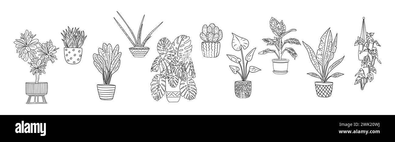 Set of Houseplants outline vector art drawings Stock Vector Image & Art ...