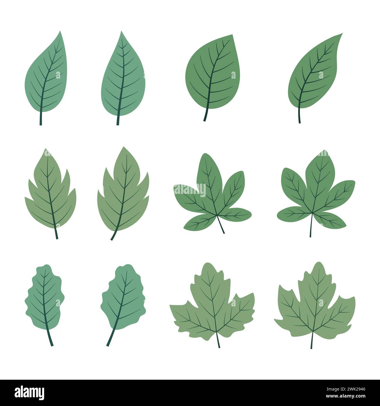 Hand drawn forest leaves collection flat design Stock Vector
