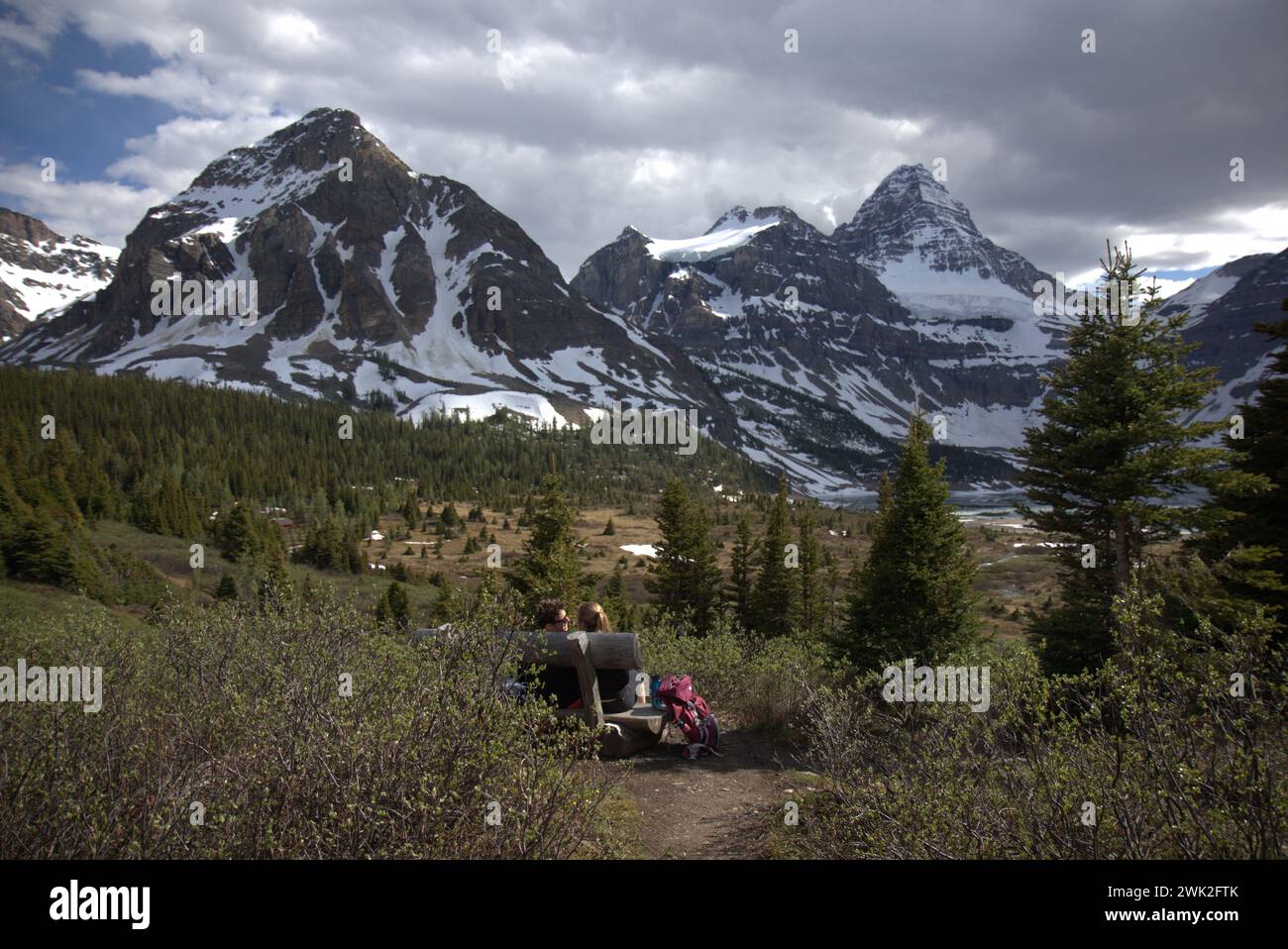 Mount Assiniboine views Stock Photo