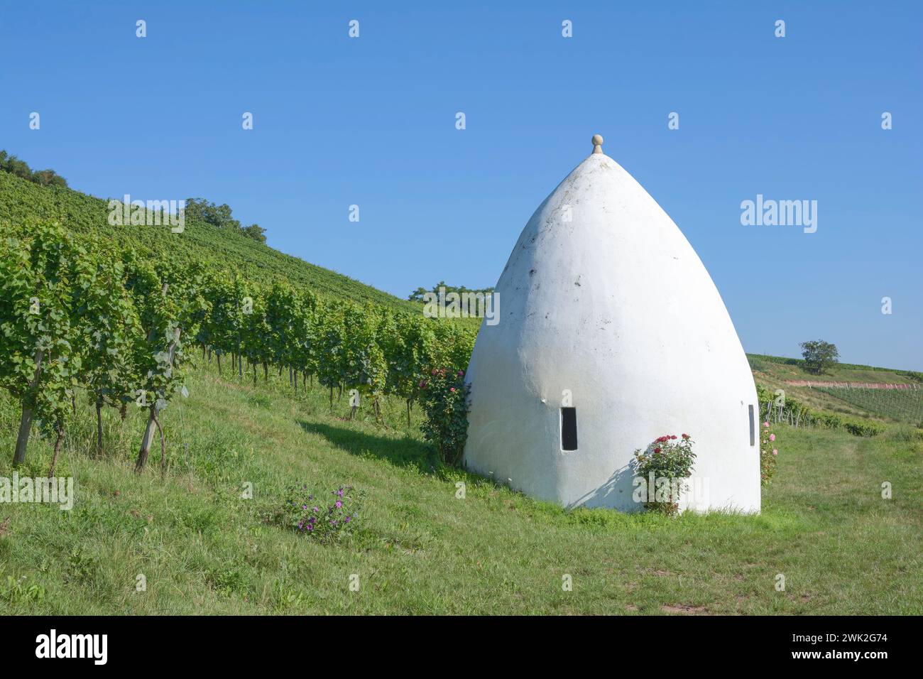 Vineyard Landscape with Trullo in Rhinehessen wine region close to Flonheim,Rhineland-Palatinate,Germany Stock Photo