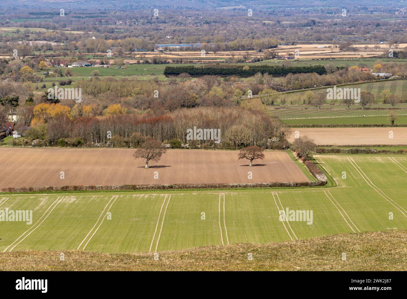 A view over fields from Malling Down near Lewes Stock Photo