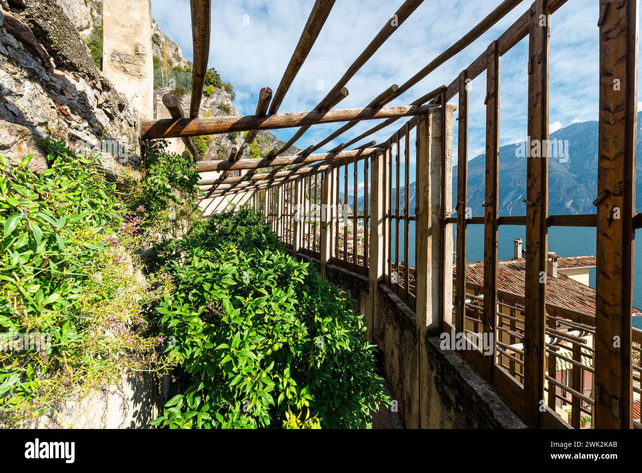 Fruit, greenhouses and lemon plantations at the Limonaia del Castel Museum in Limone on Lake Garda, Lombardy, Italy Stock Photo