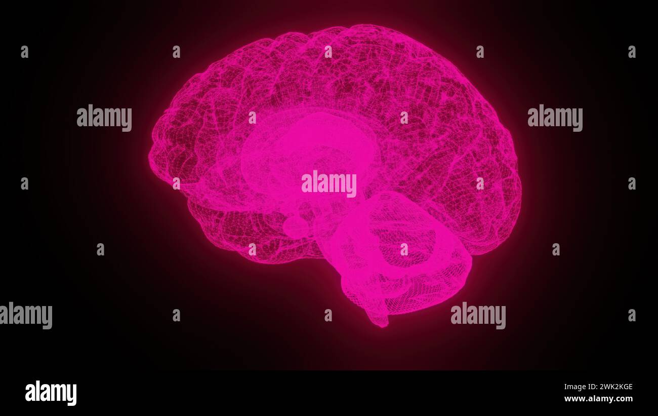 Animation human brain icon digital hi-res stock photography and images ...