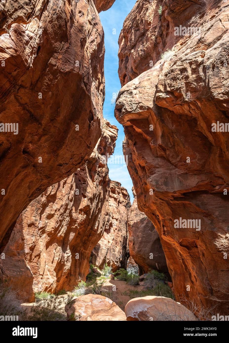 Gold Butte National Monument, near Bunkerville, Nevada. Stock Photo