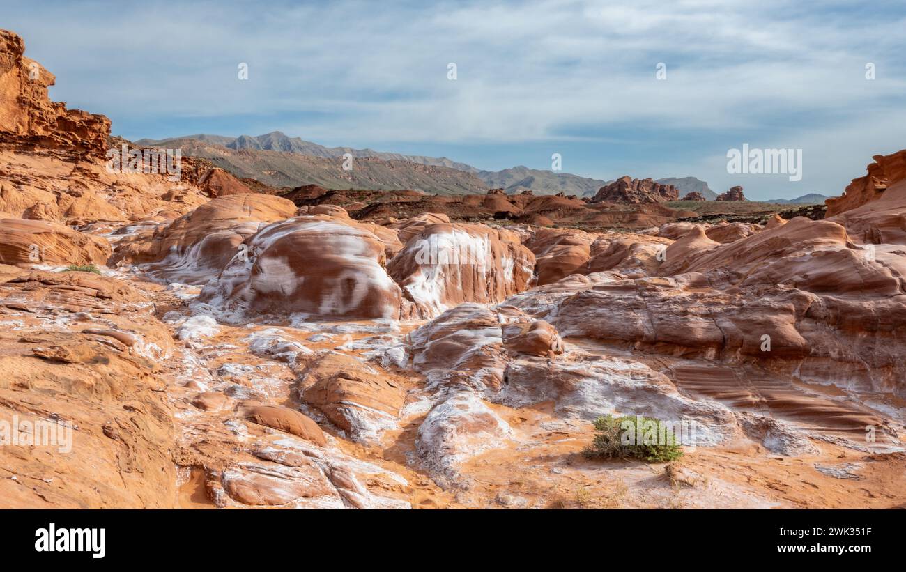 Little Finland (a.k.a. Hobgoblin’s Playground), undulating mounds frosted with salt, Gold Butte National Monument, near Bunkerville, Nevada. Stock Photo
