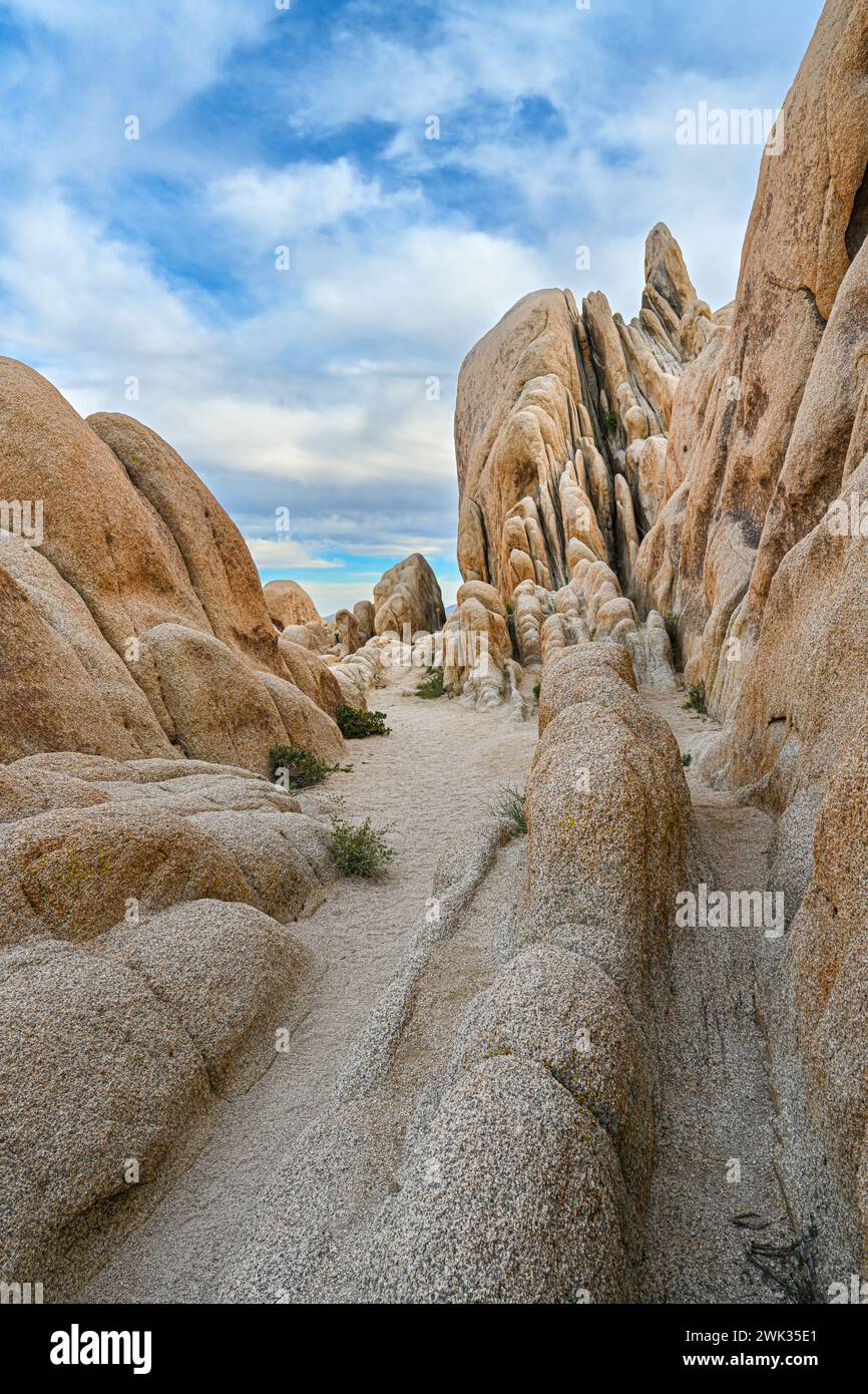 'Secret pathway', Arch Rock Area, Joshua Tree National Park, near Yucca Valley, California. Stock Photo