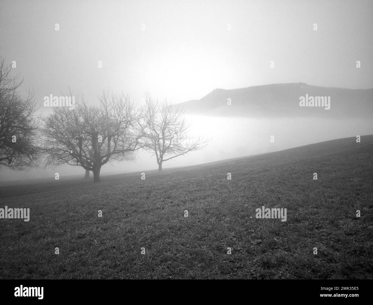 Climate failure Black and White Stock Photos & Images - Alamy