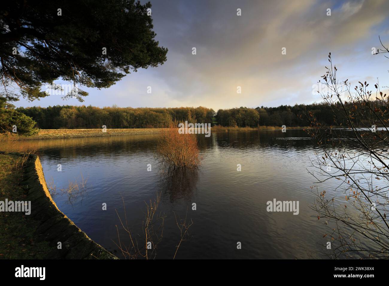 Autumn view over Swinsty Reservoir in the Washburn valley west of Harrogate town, Yorkshire Dales National Park, England, UK Stock Photo