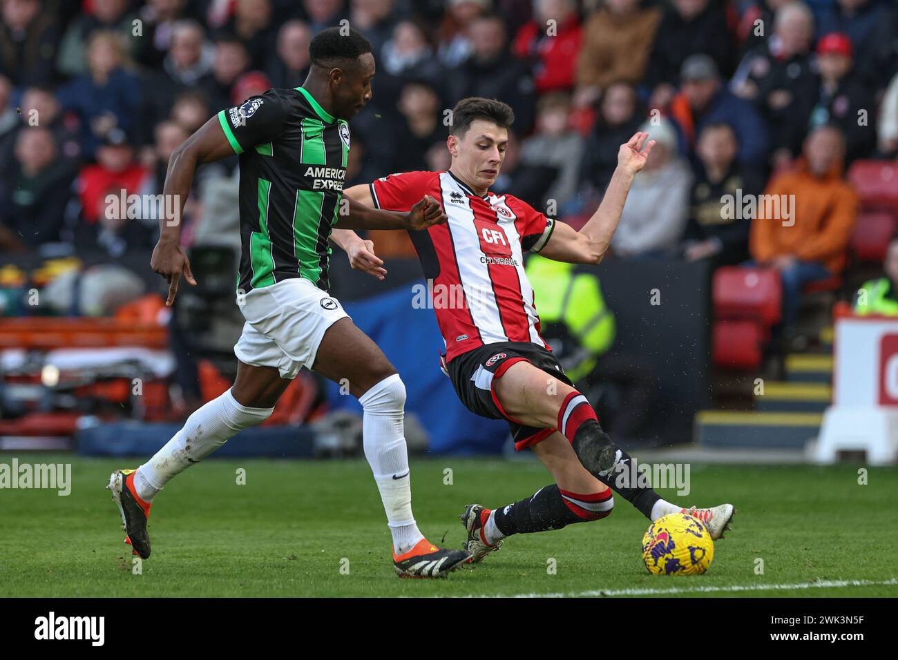 Danny welbeck 2024 hi-res stock photography and images - Alamy