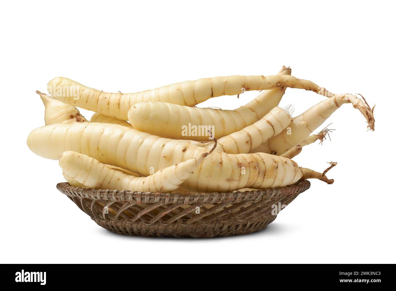 organic arrowroot rhizomes on a tray, maranta arundinacea, tropical plant known for starchy rhizomes harvested for various culinary purposes, as glute Stock Photo