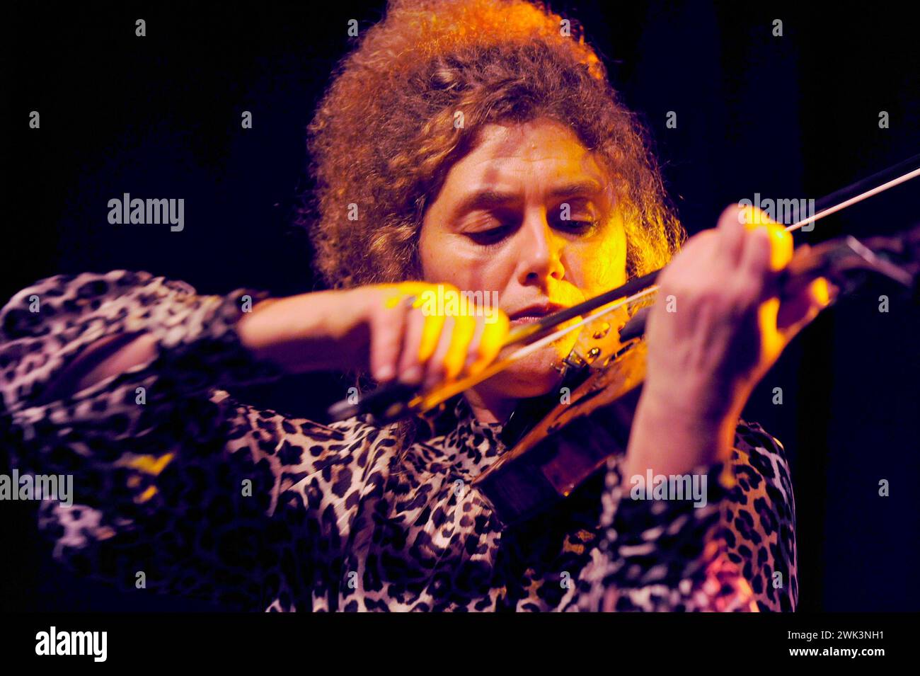 Das bulgarische Jazz-Geigerin Biliana Voutchkova beim 28. JOE-Festival ...