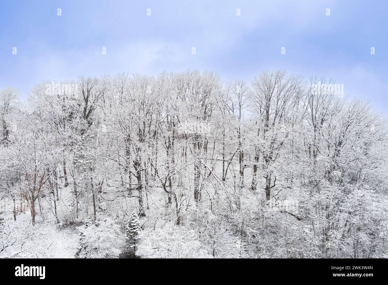 Aerial view of hill with snow covered trees in winter, Pennsylvania, USA Stock Photo