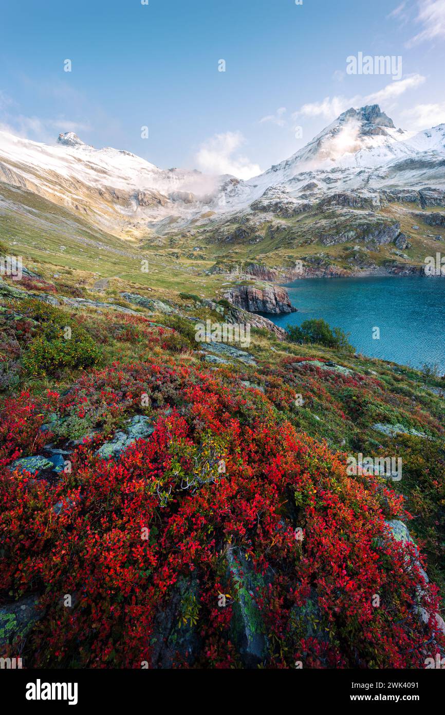 An autumnal mountain landscape view with blueberry bushes, snow-capped peaks and lake in Switzerland Stock Photo